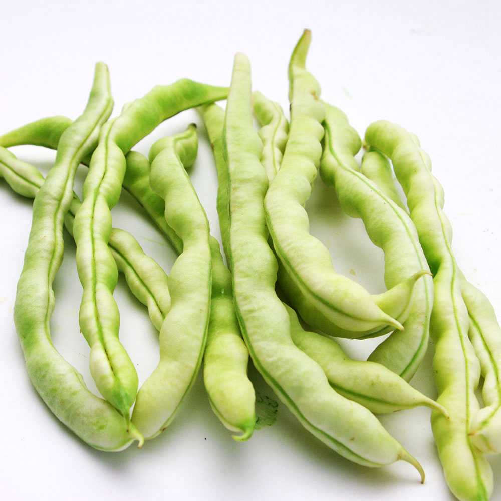 【燎原特惠】新鲜白芸豆绿色种植绿色无公害蔬菜新鲜青菜顺丰